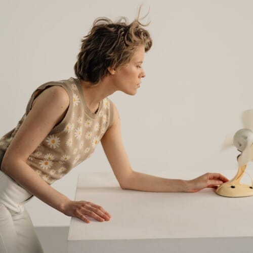 foods that fight hot flashes